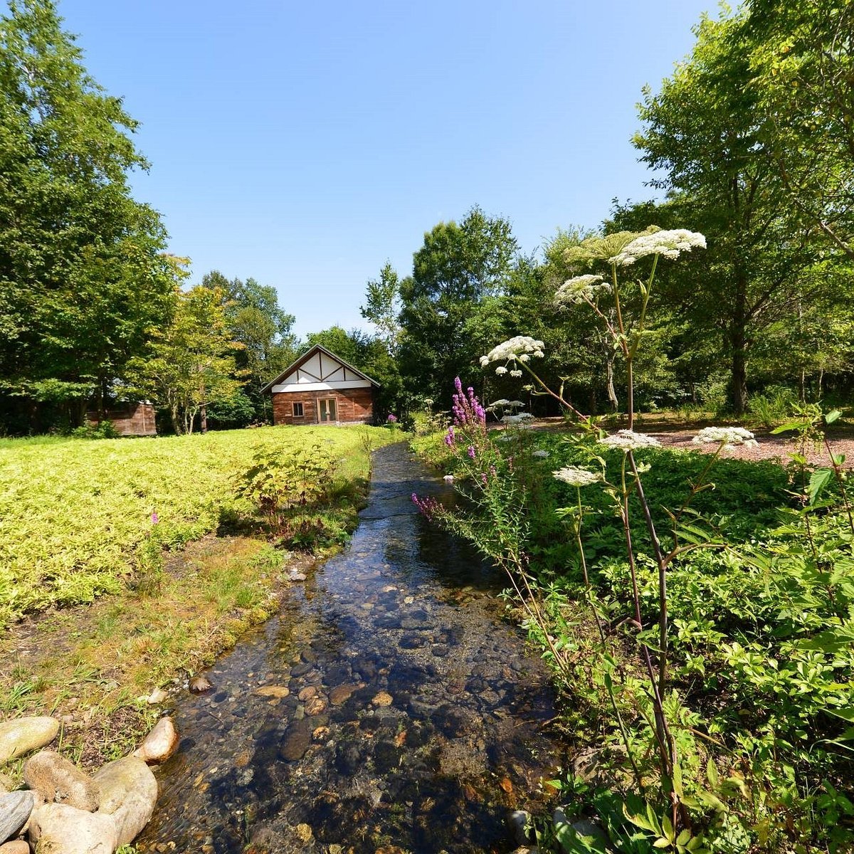 🌳 육화의 숲(롯카노모리) 이미지 5